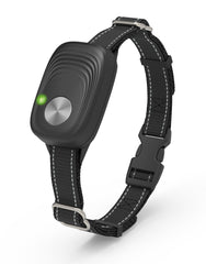PETZEE night-use reflective strips illustrate safer evening walks and visibility