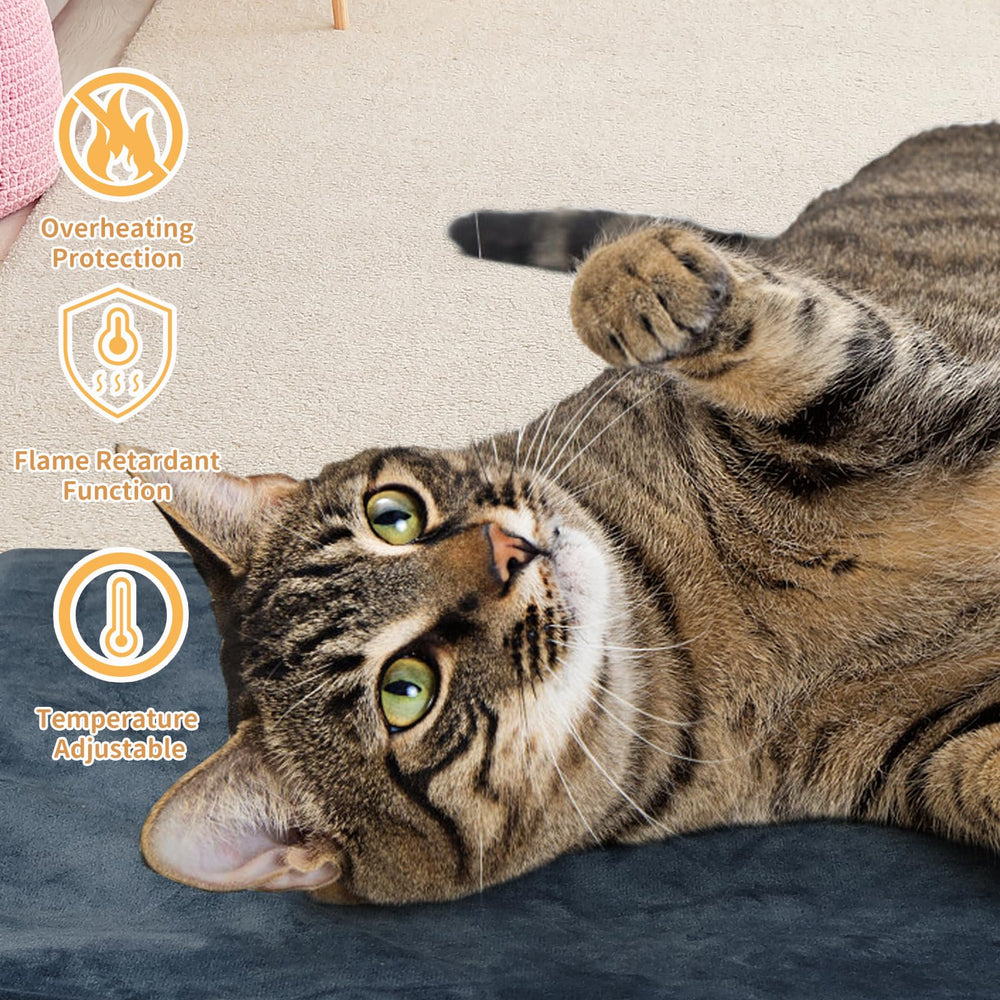 PETZOOKA warming mat in cozy living-room setup boosts pet comfort