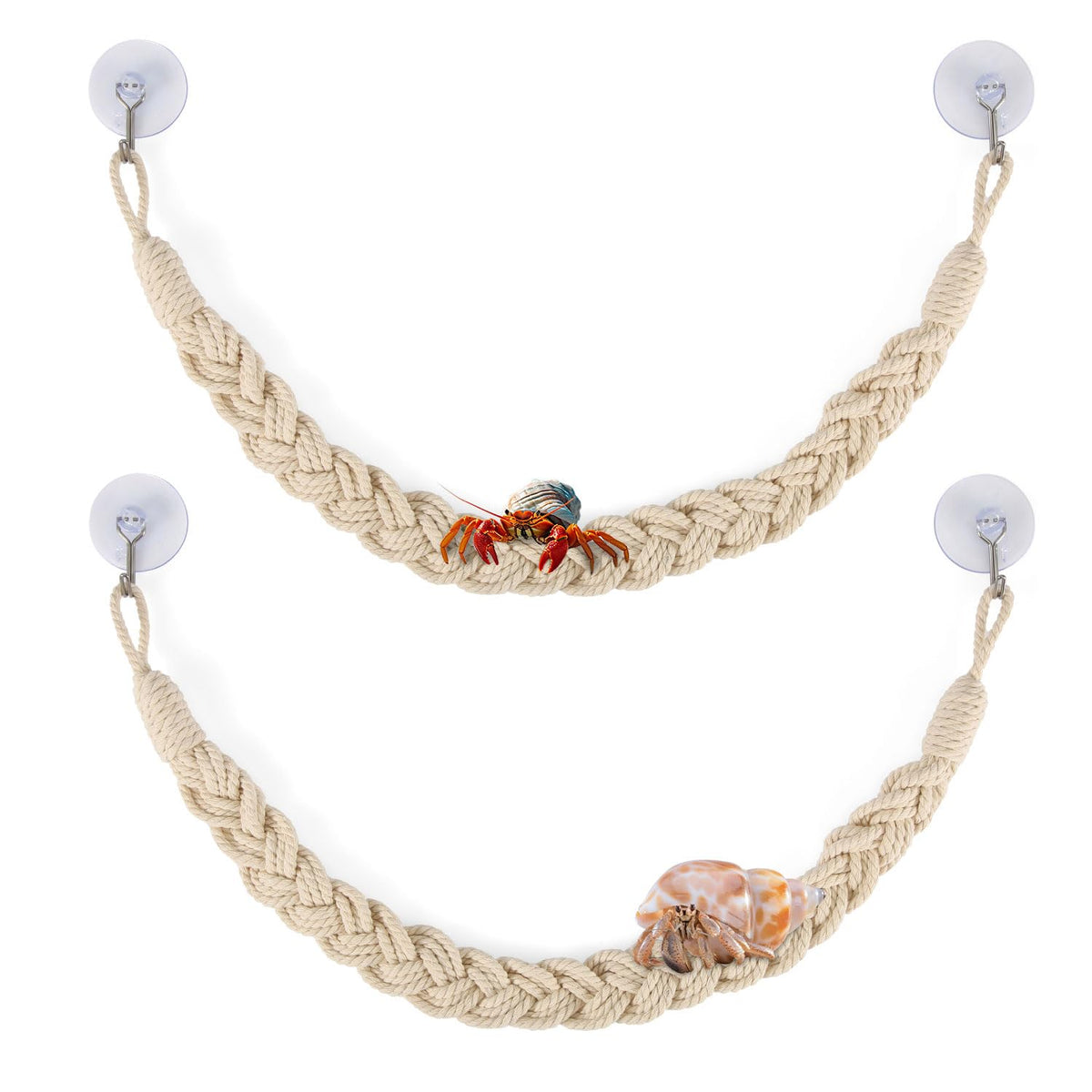 peutier hermit-crab climbing rope 60cm beige in tank for exploration and grip.