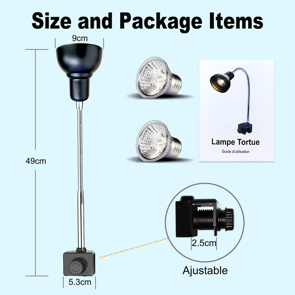 Pewin-Go bearded dragon setup scene with two-bulb heat source