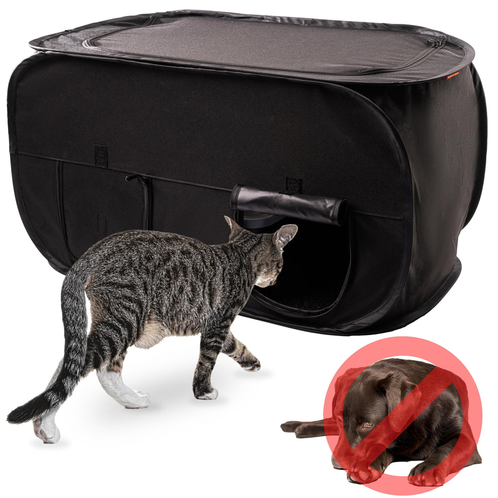 PEXTER Cat Litter Box Enclosure hidden design keeps litter out of sight and tidy.