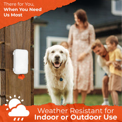 Pexter dog poop bag dispenser wall-mount outdoor setup demonstrates secure mounting option.