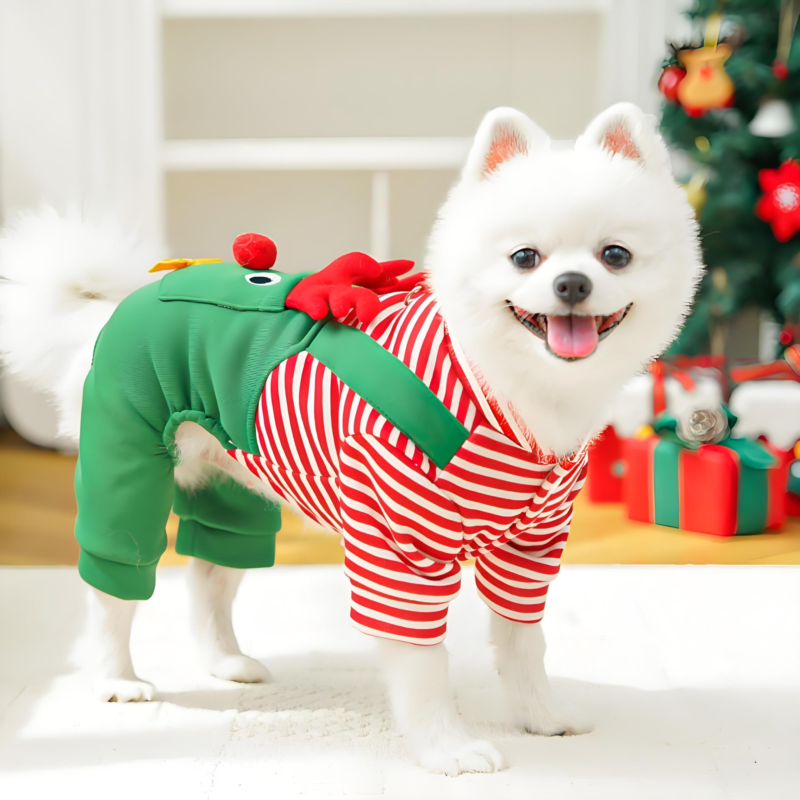 Pezluxe festive dog outfit ideal for photoshoots