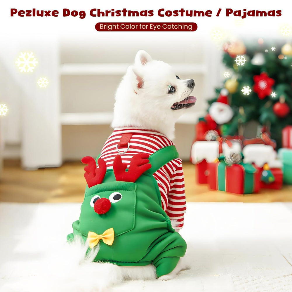 Pezluxe green Christmas dog outfit for indoor adventures