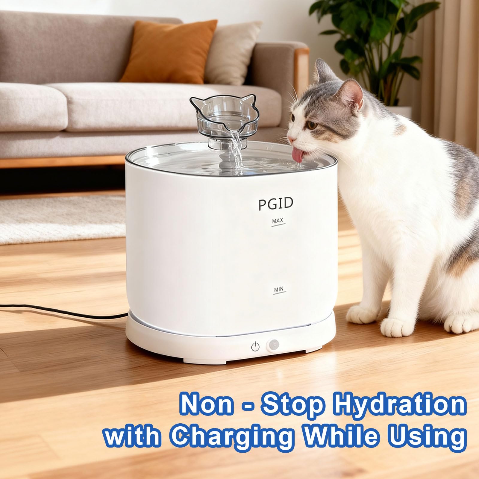 PGID 74oz capacity water tank supports multiple pets through the day.