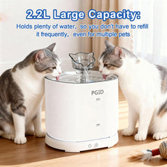 PGID battery-operated water fountain demonstrates freedom to drink anywhere without cords.