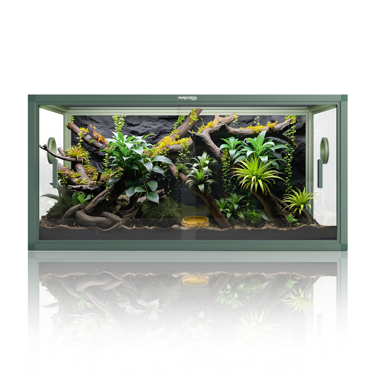 Phailozoo 50gallon tank front opening view enables easy feeding and quick maintenance.