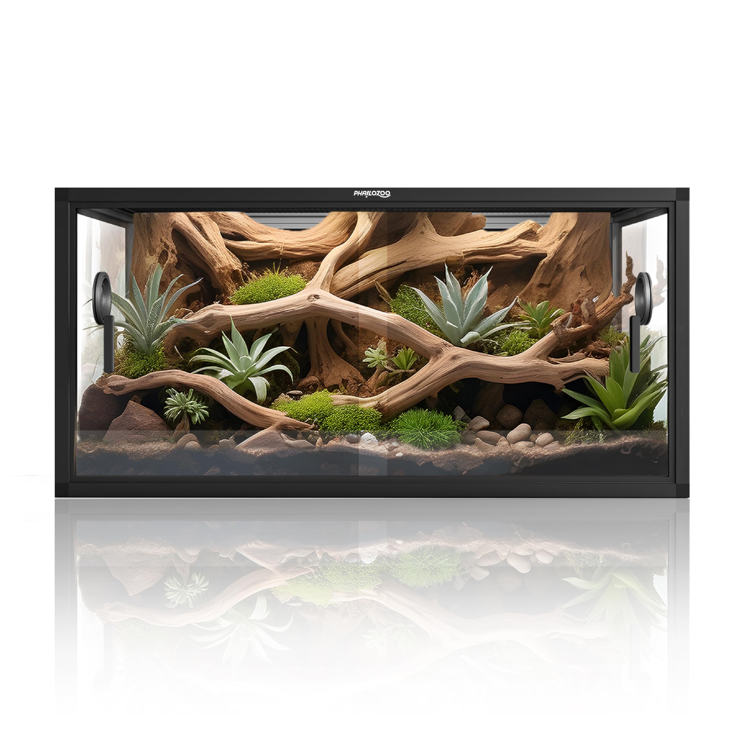 Phailozoo 50 gallon tank front view showing easy access for feeding and cleaning
