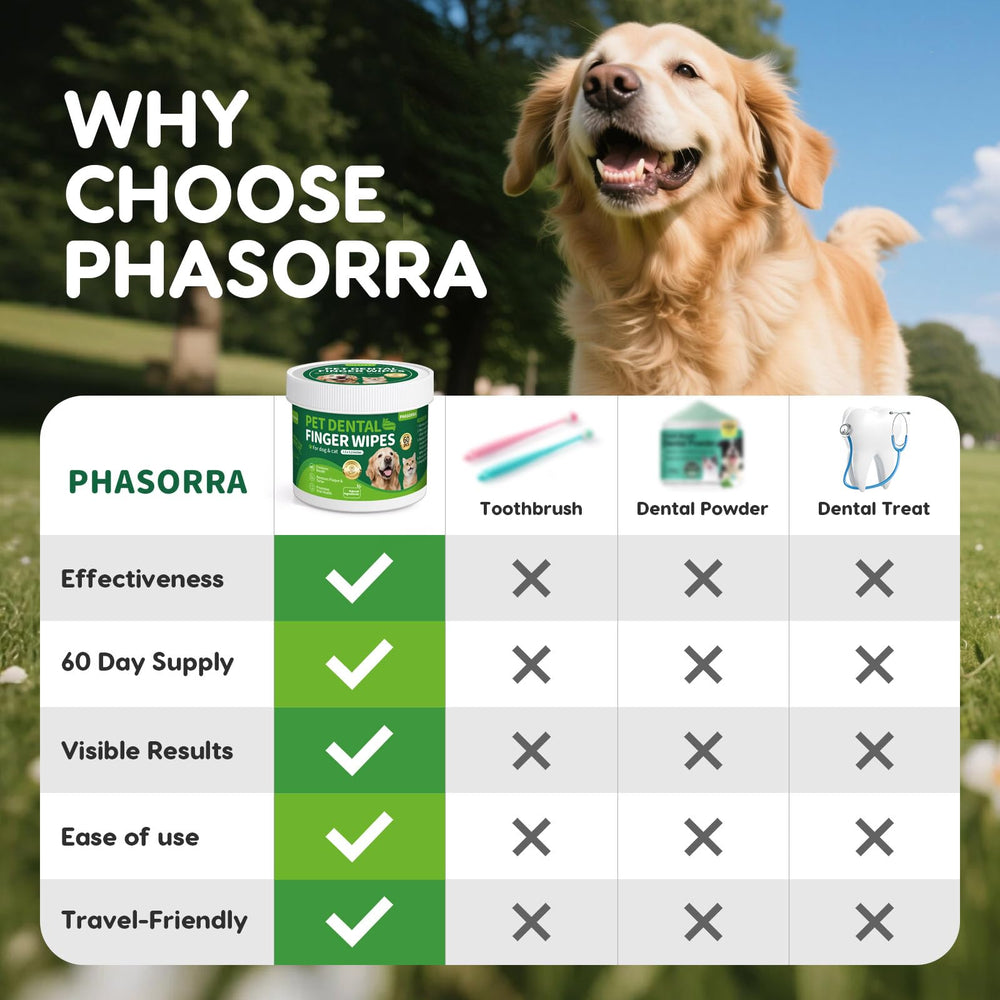 PHASORRA dog dental wipes after-meal use freshens breath and simplifies routine