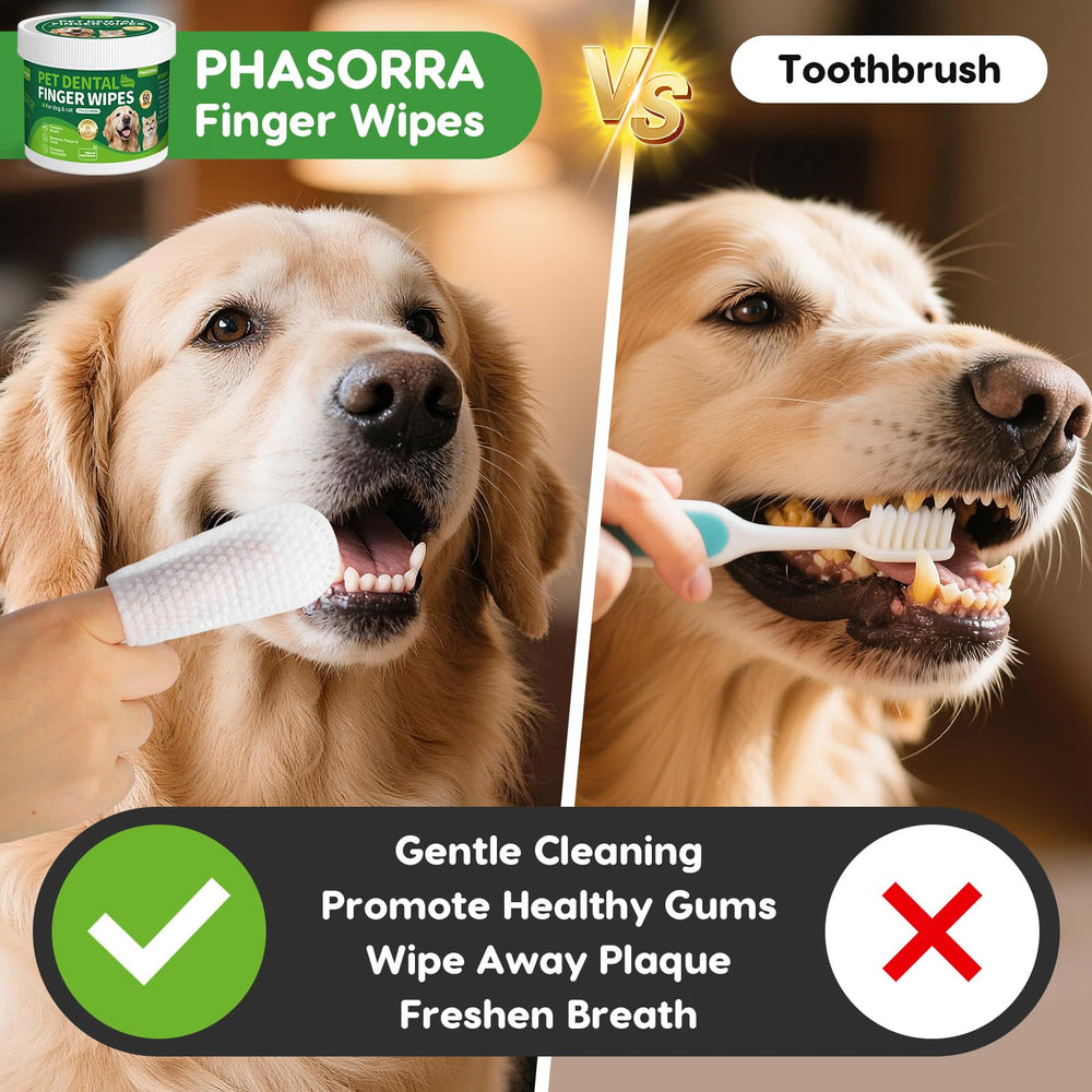 PHASORRA dog dental wipes textured surface cleaning removes plaque thoroughly