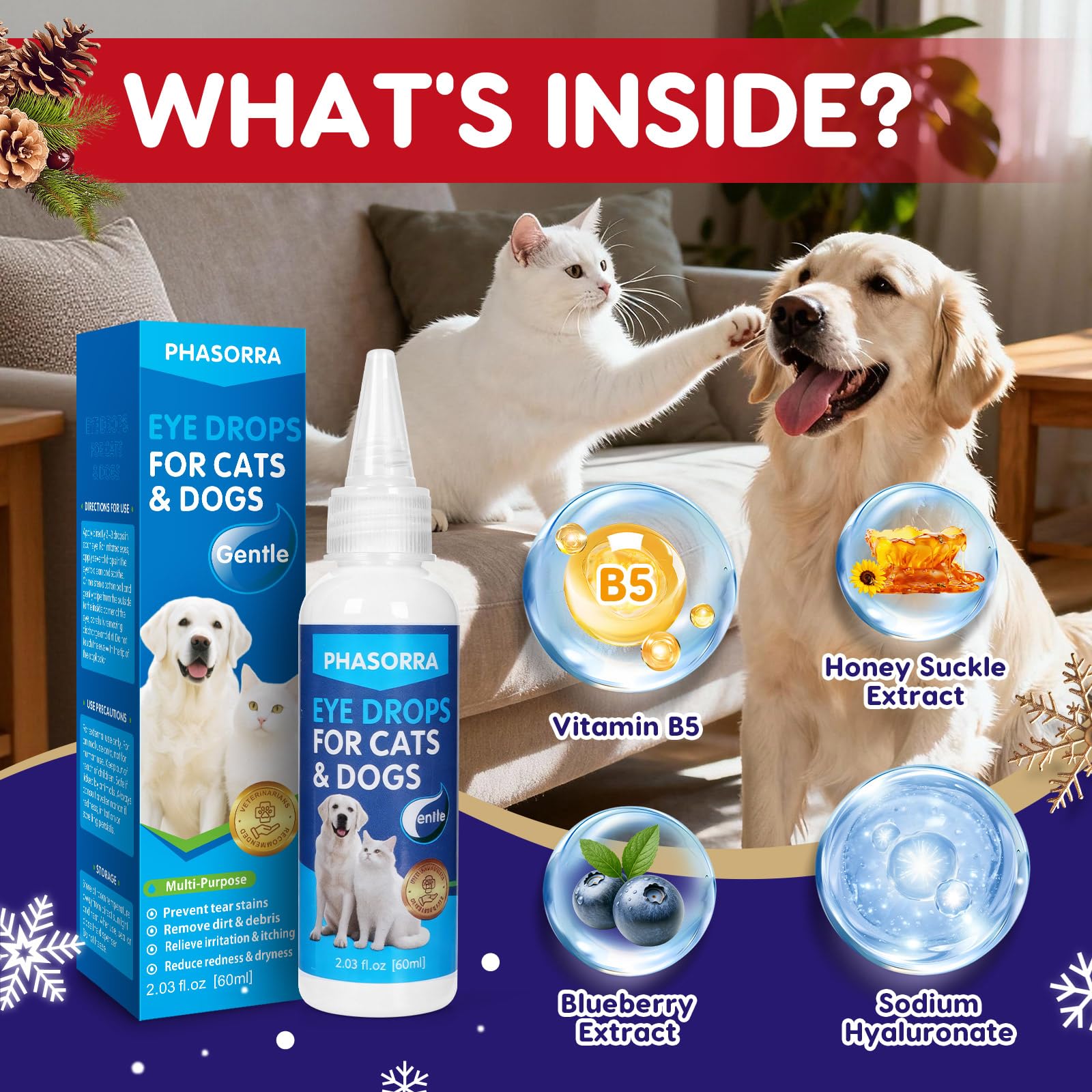 PHASORRA eye drops dropper-application shows precise, calm at-home eye care for pets.