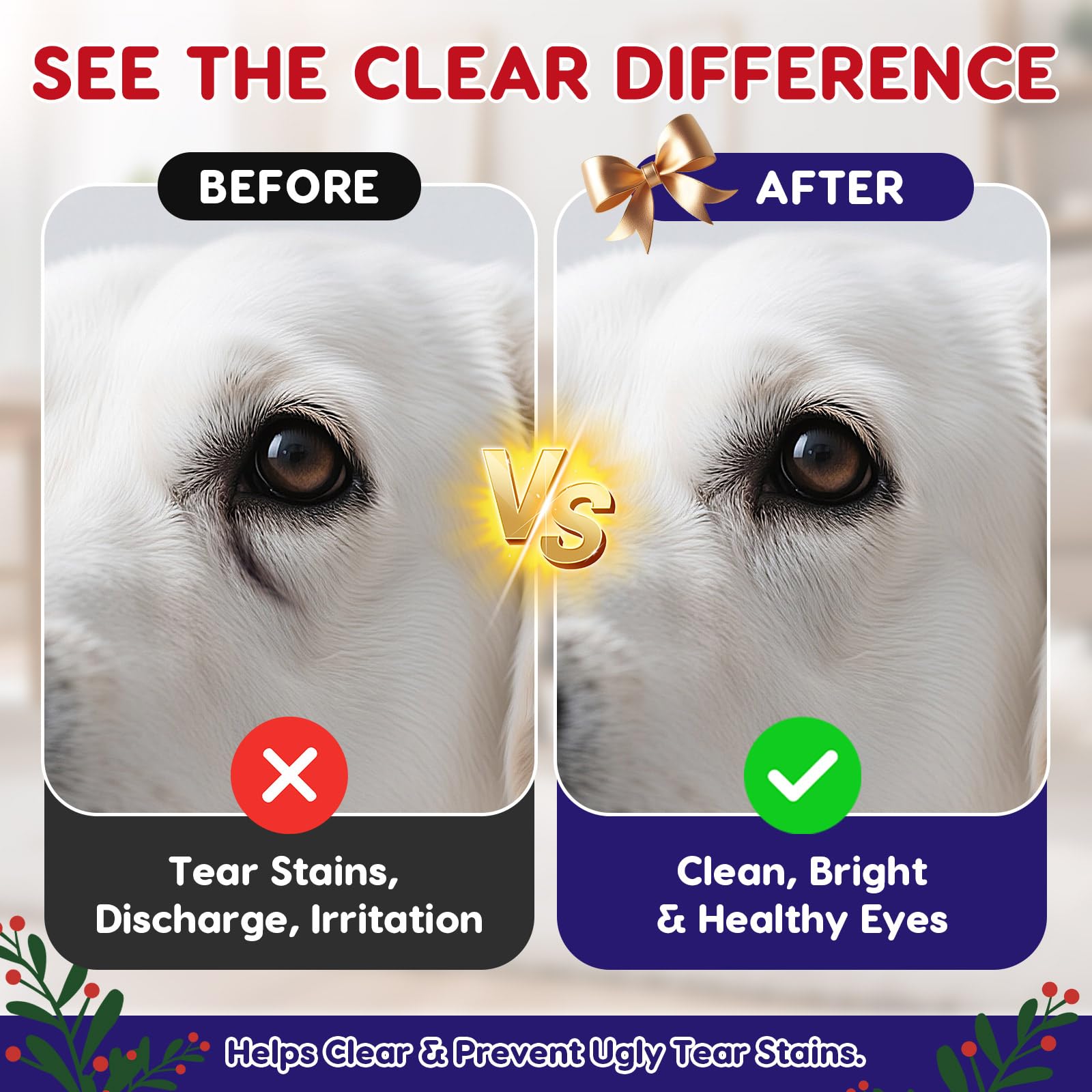 PHASORRA eye drops pet-application illustrates gentle use during routine eye care.