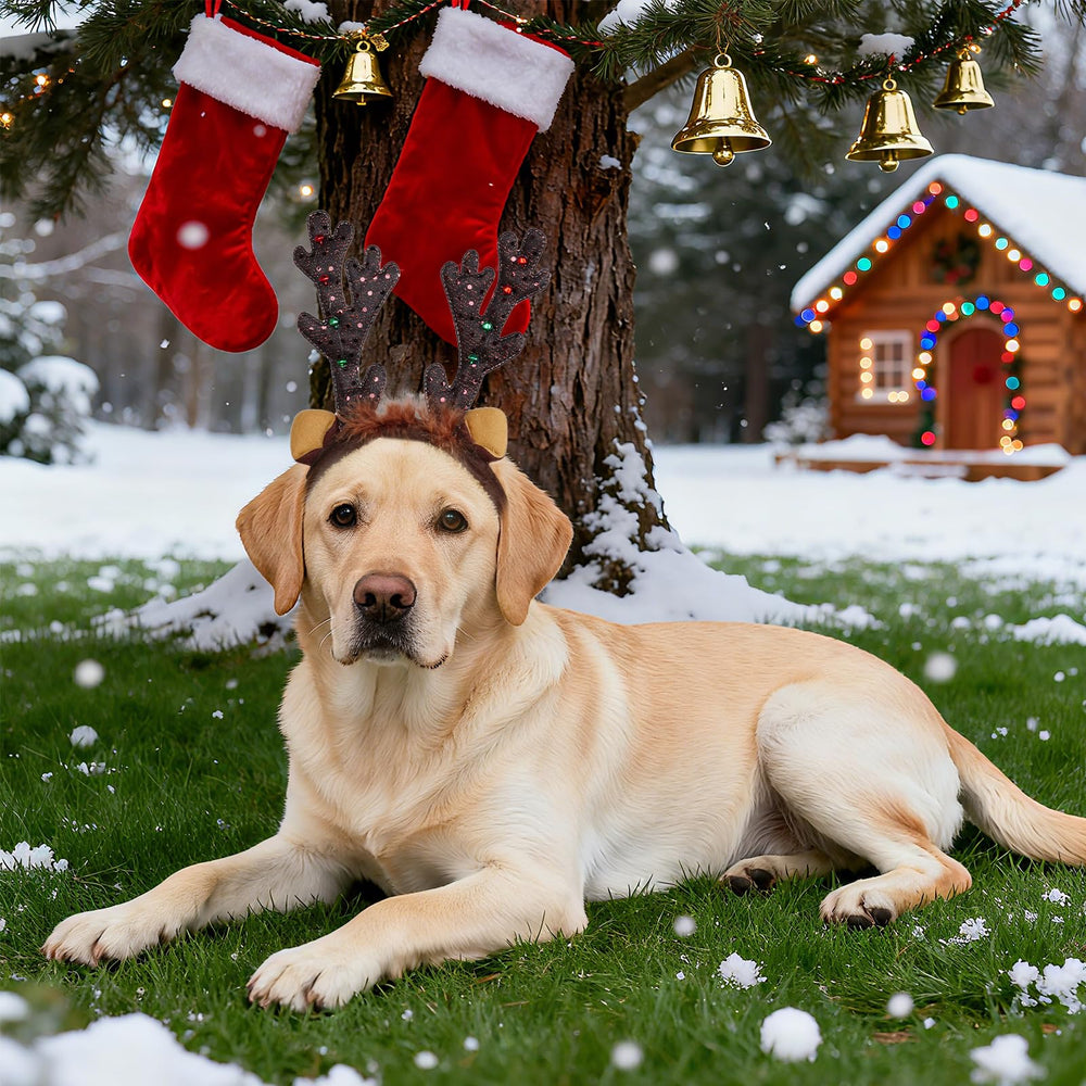 phnydreg dog reindeer antlers headband Christmas party setup showcases adorable seasonal charm.