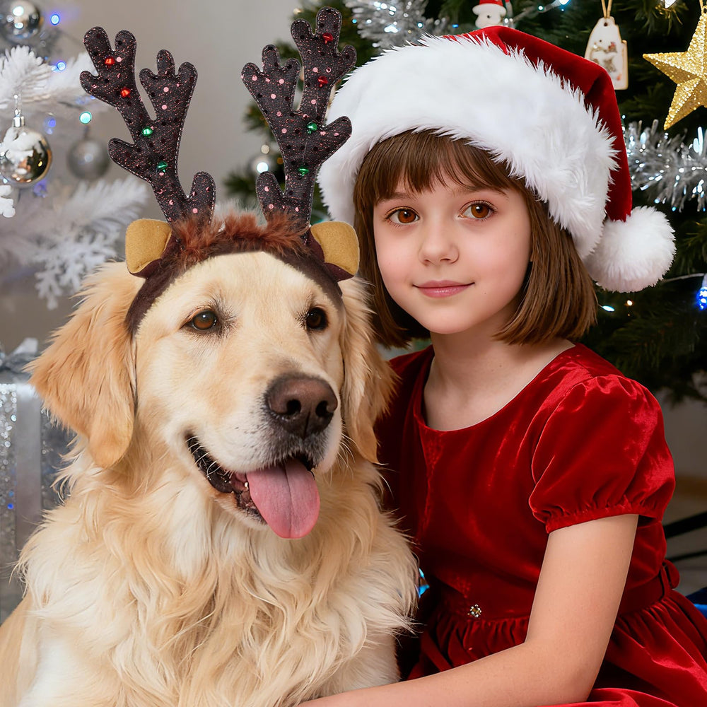 phnydreg dog reindeer antlers headband on dog during play captures festive look.