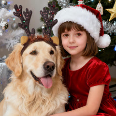 phnydreg dog reindeer antlers headband on dog during play captures festive look.