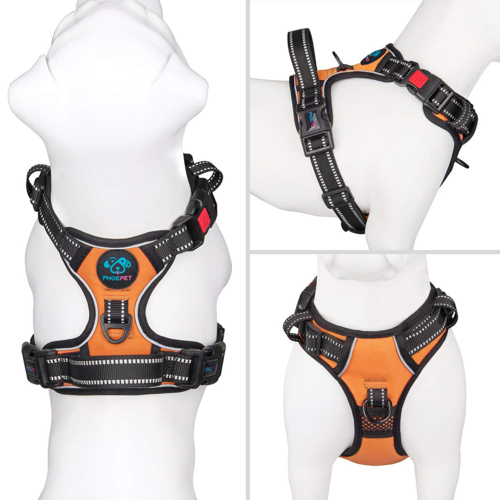 PHOEPET back strap harness with orange color for close control and car assistance.