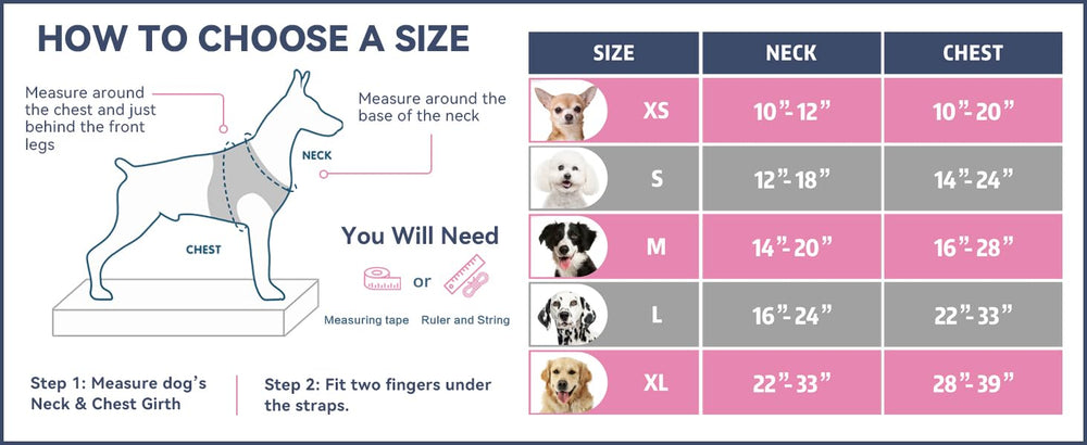 PHOEPET Red color option improves visibility during busy walks.