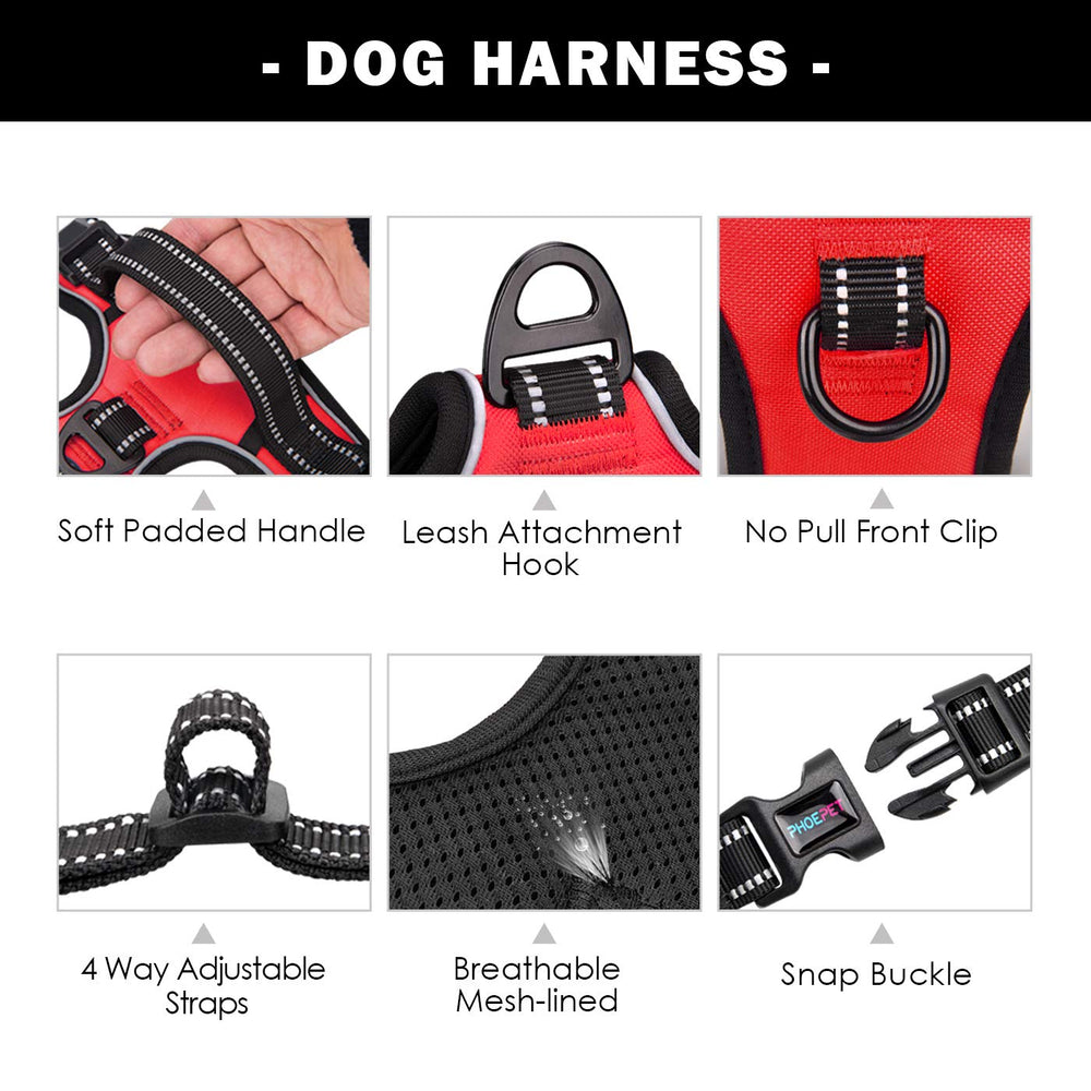 PHOEPET Adjustable buckles ensure a secure, comfortable fit.