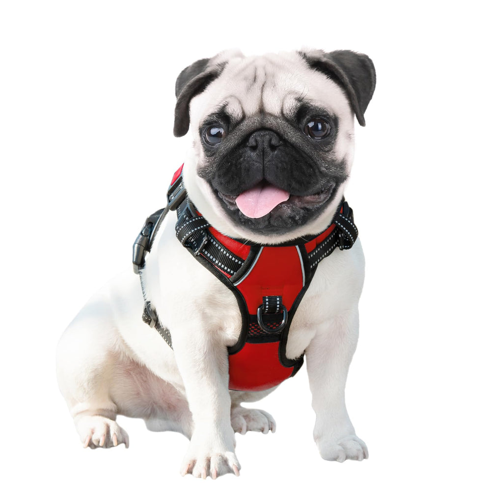 PHOEPET Harness back handle enables closer control and easier car entry.