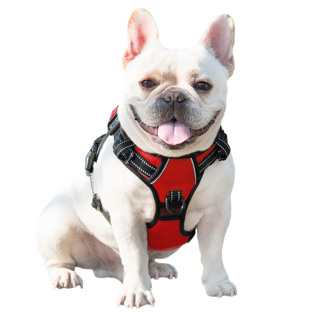 PHOEPET No Pull Harness makes on/off quick and simple.