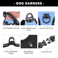 PHOEPET name ID pocket on the harness for quick identification.