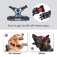 PHOEPET No Pull Harness back leash hook suitable for everyday walks and training.