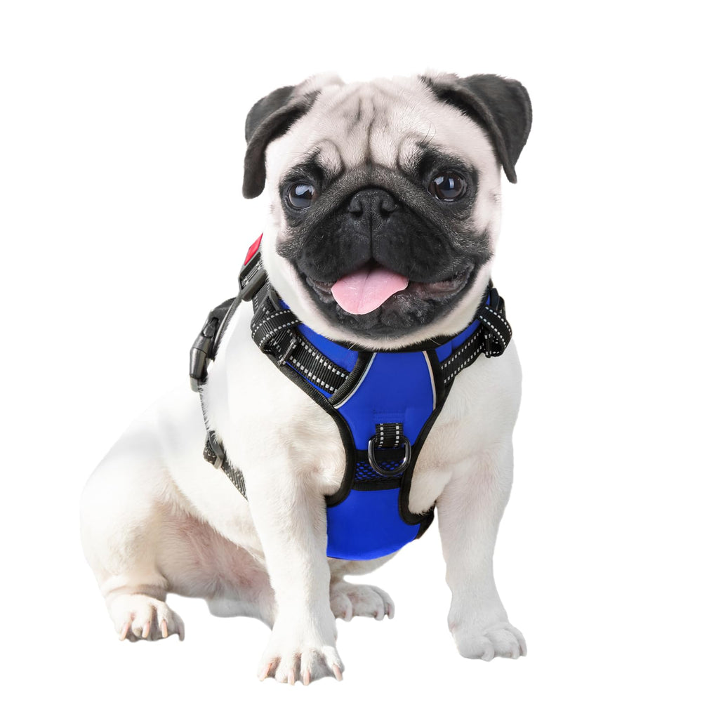 PHOEPET No Pull Harness in-car use with handle for safer leash management.