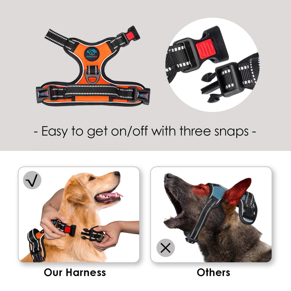 PHOEPET Harness with two leash rings supports front and back attachment for flexible training.