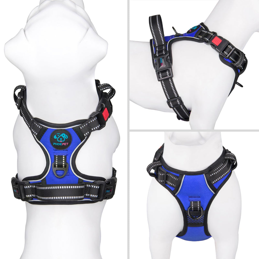 PHOEPET No Pull Harness back clip in royal blue provides reliable leash attachment