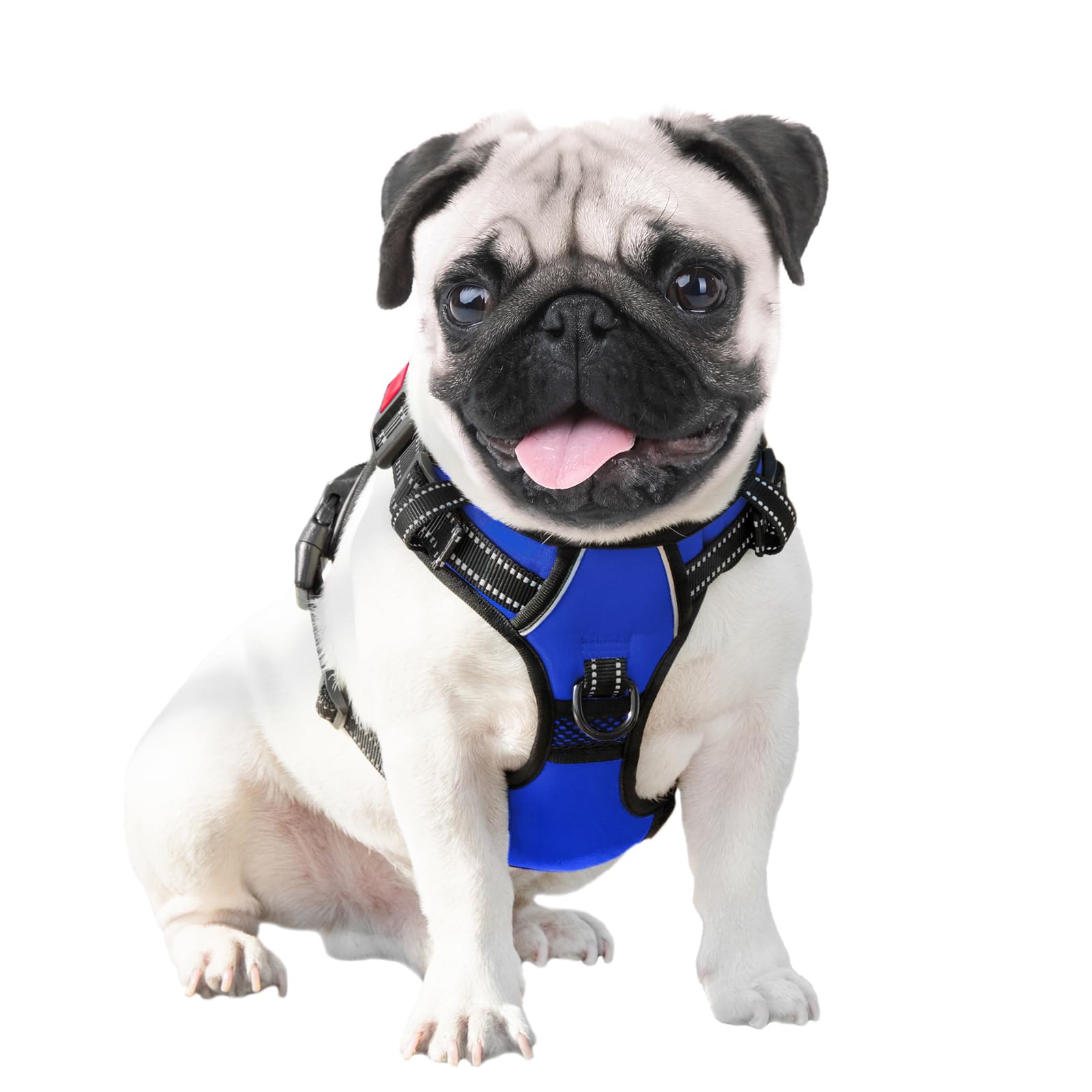 PHOEPET No Pull Harness royal blue walking scene for everyday use