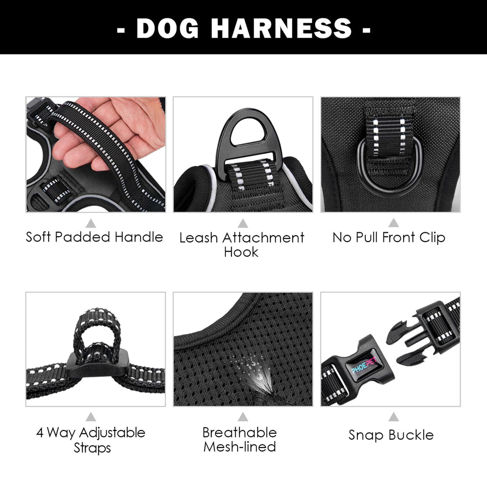 PHOEPET reflective dog harness at night—high visibility for safer dusk walks