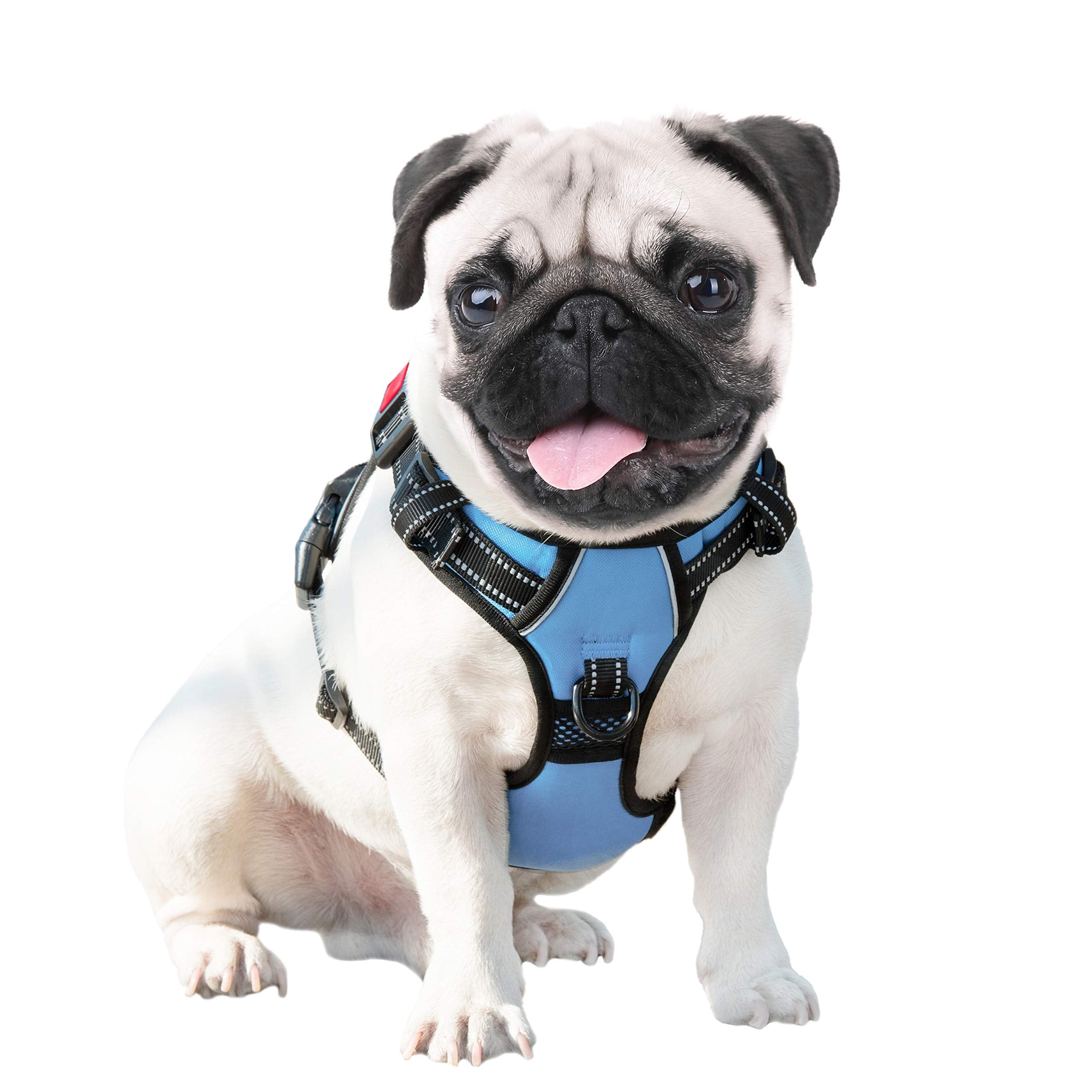 PHOEPET reflective material keeps your dog visible at night.