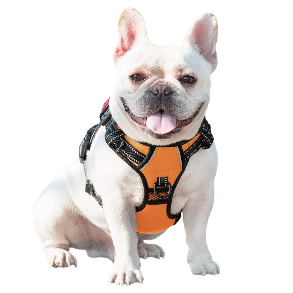 PHOEPET size-small orange harness ideal for small breeds.