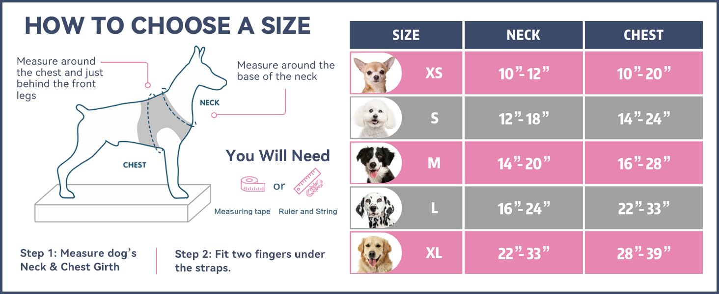 PHOEPET soft back-handle supports near-control during car rides.