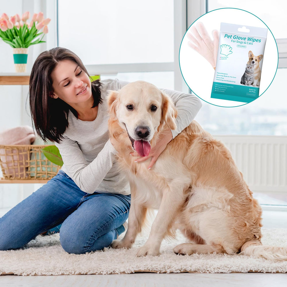 PHONORY six-mitt convenient pack for home or travel cleaning