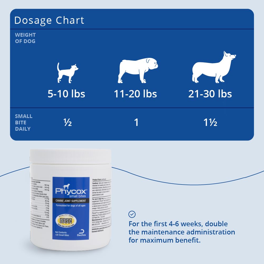 PhyCox packaging on counter suggests convenient daily dosing for mature dogs