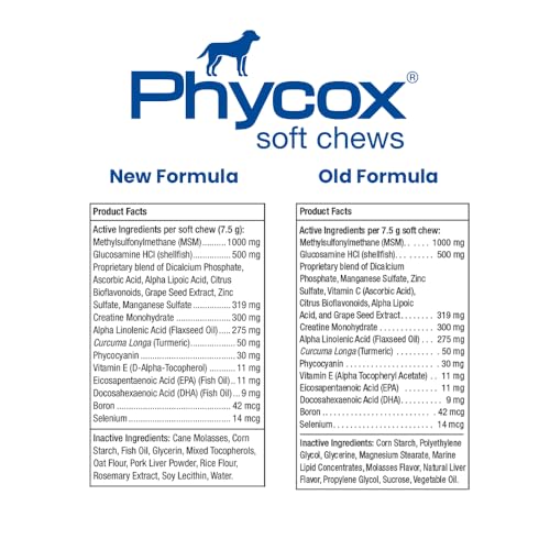 PhyCox dog joint soft chews bottle closeup shows chew texture and appeal.