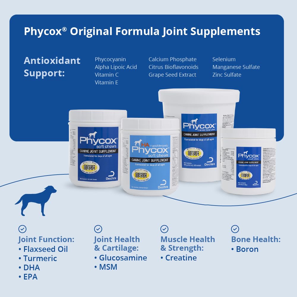 PhyCox dog joint soft chews closeup texture demonstrates chew consistency.