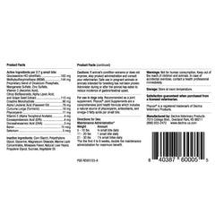 PhyCox small bites closeup chews highlights palatable texture for daily use and mobility-friendly routine