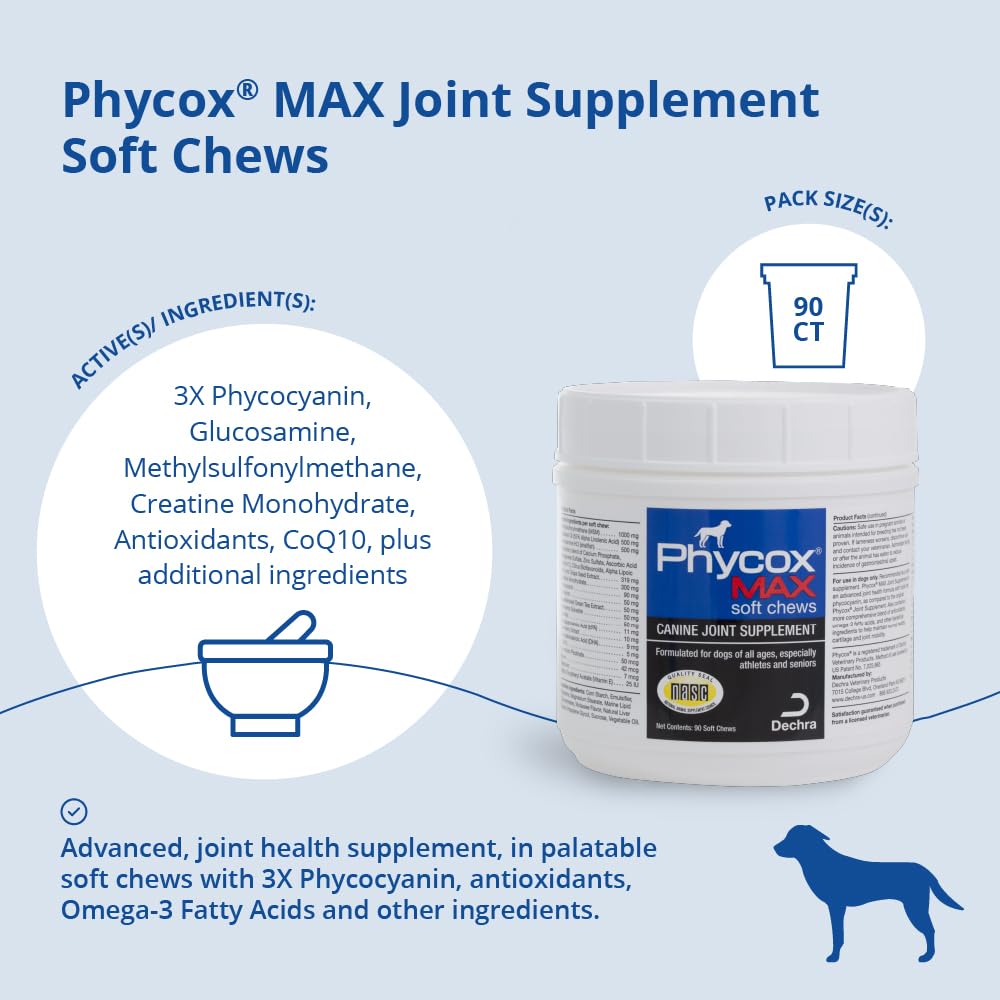 Dog bowl beside PhyCox MAX chew bottle suggests daily joint care routine.