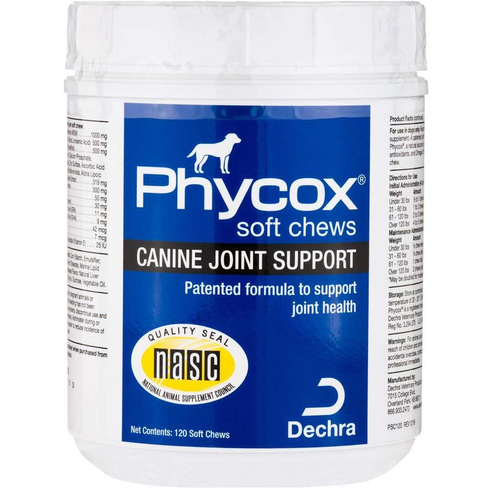 PhyCox One canine joint soft chews promote healthy mobility for active dogs