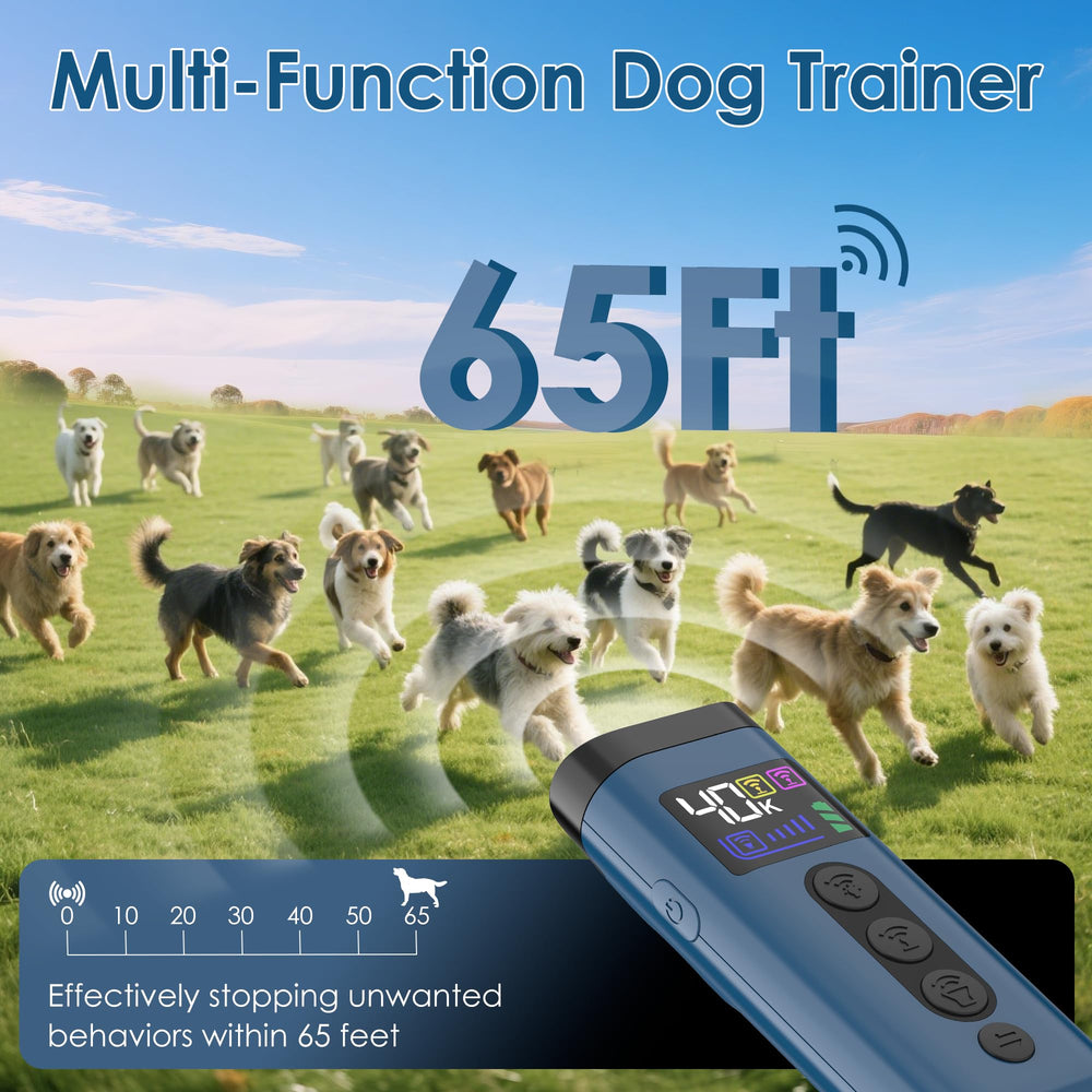 Phzibor ultrasonic display close-up shows three frequencies and modes for versatile training sessions.