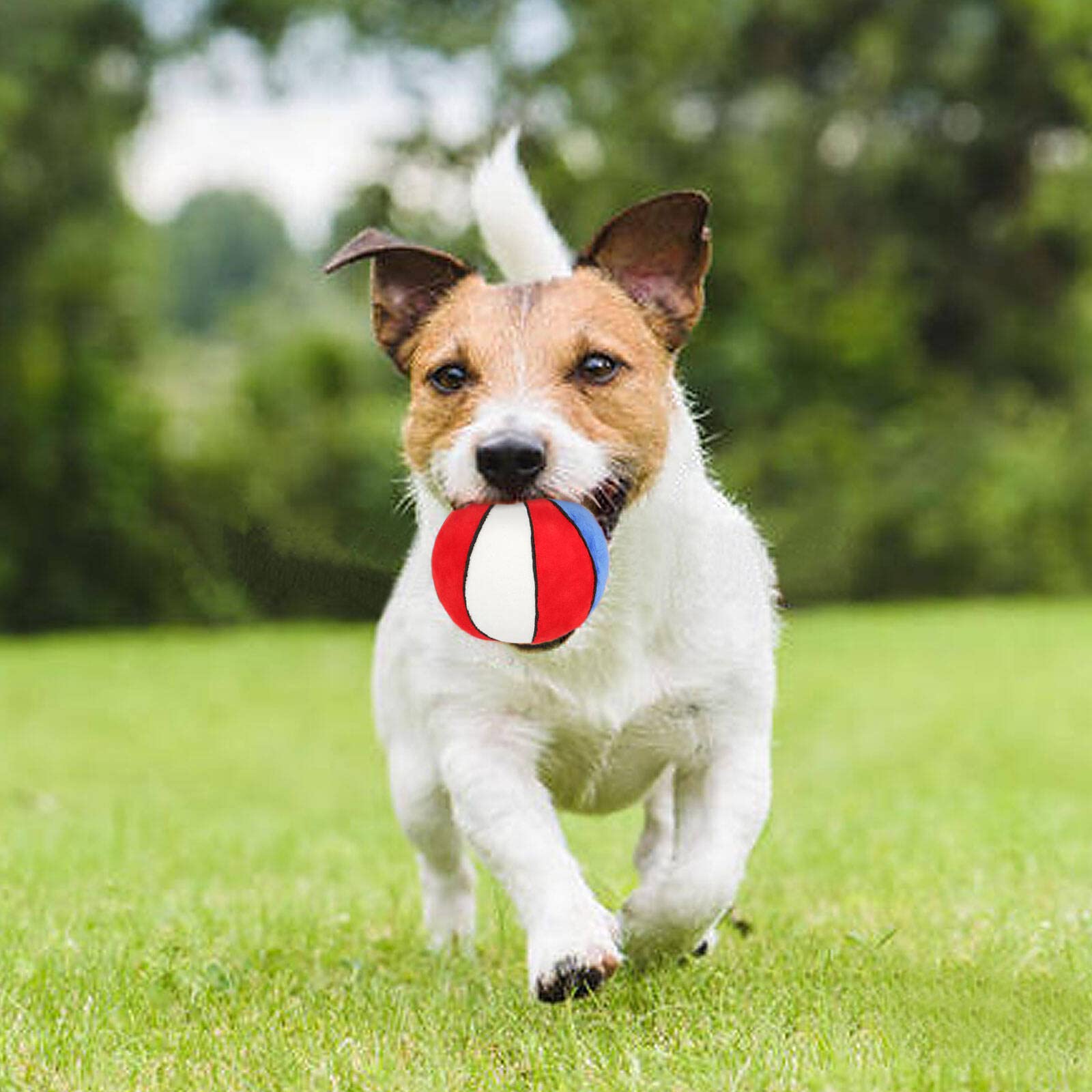 PIANG GOUER dog balls in-use image suggests versatile gifts for dogs.