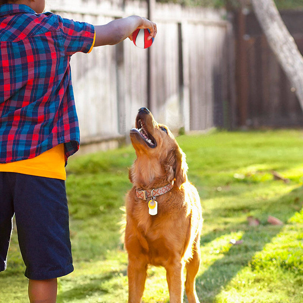 PIANG GOUER holiday-gift shot positions the balls as thoughtful dog gifts.