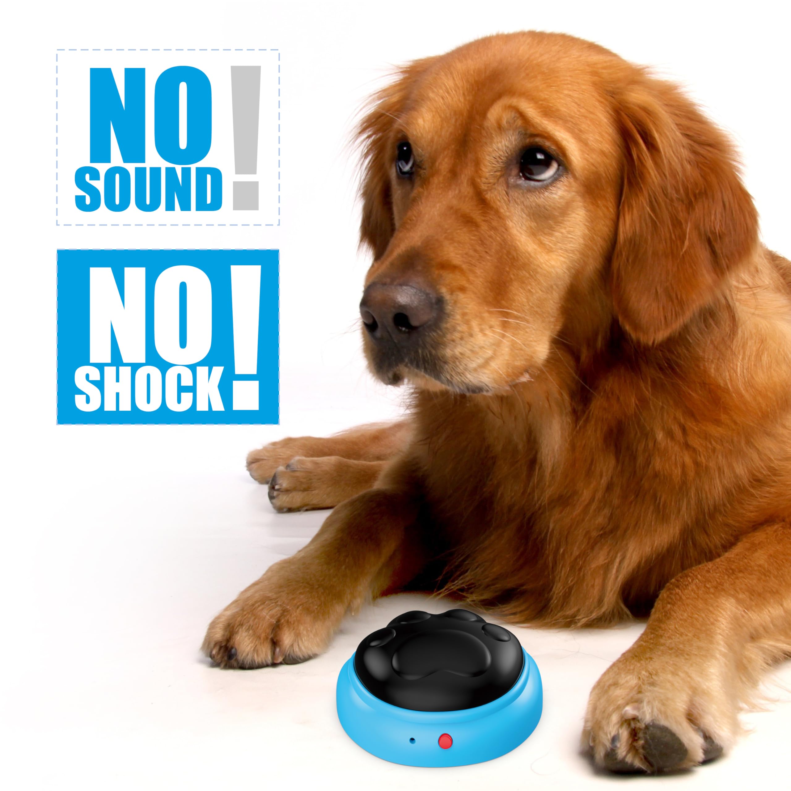 PICAPETS puzzle feeder detaches for easy cleaning after playtime.