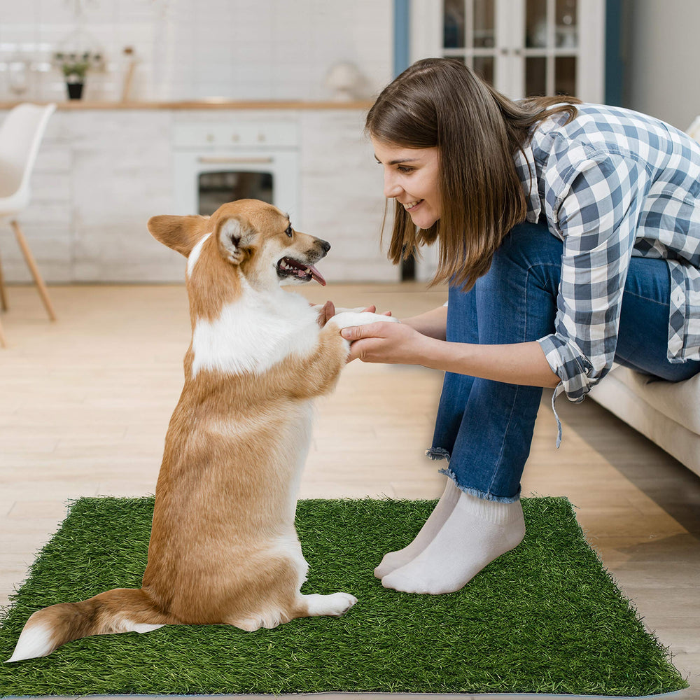 PICK FOR LIFE friendly customer service offers quick assistance.