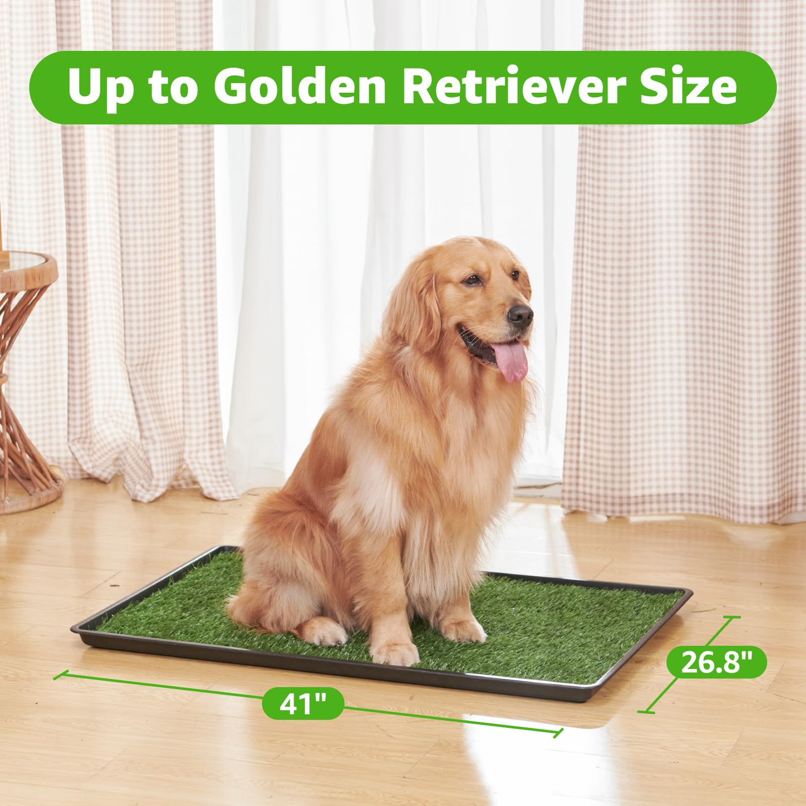 PICK FOR LIFE artificial-turf visual encourages indoor potty sessions.