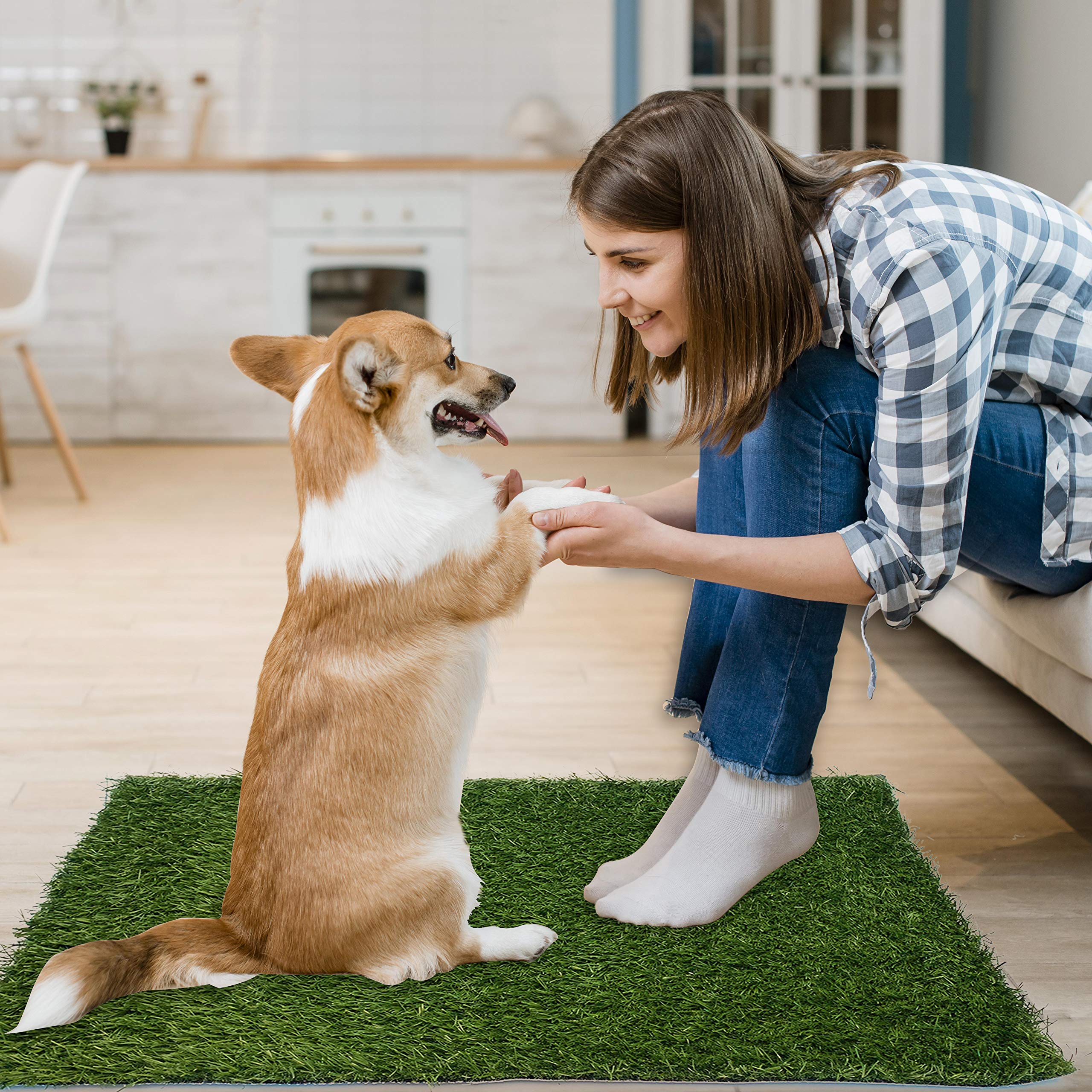 PICK FOR LIFE dog grass pad training guide image highlights simple steps for potty training
