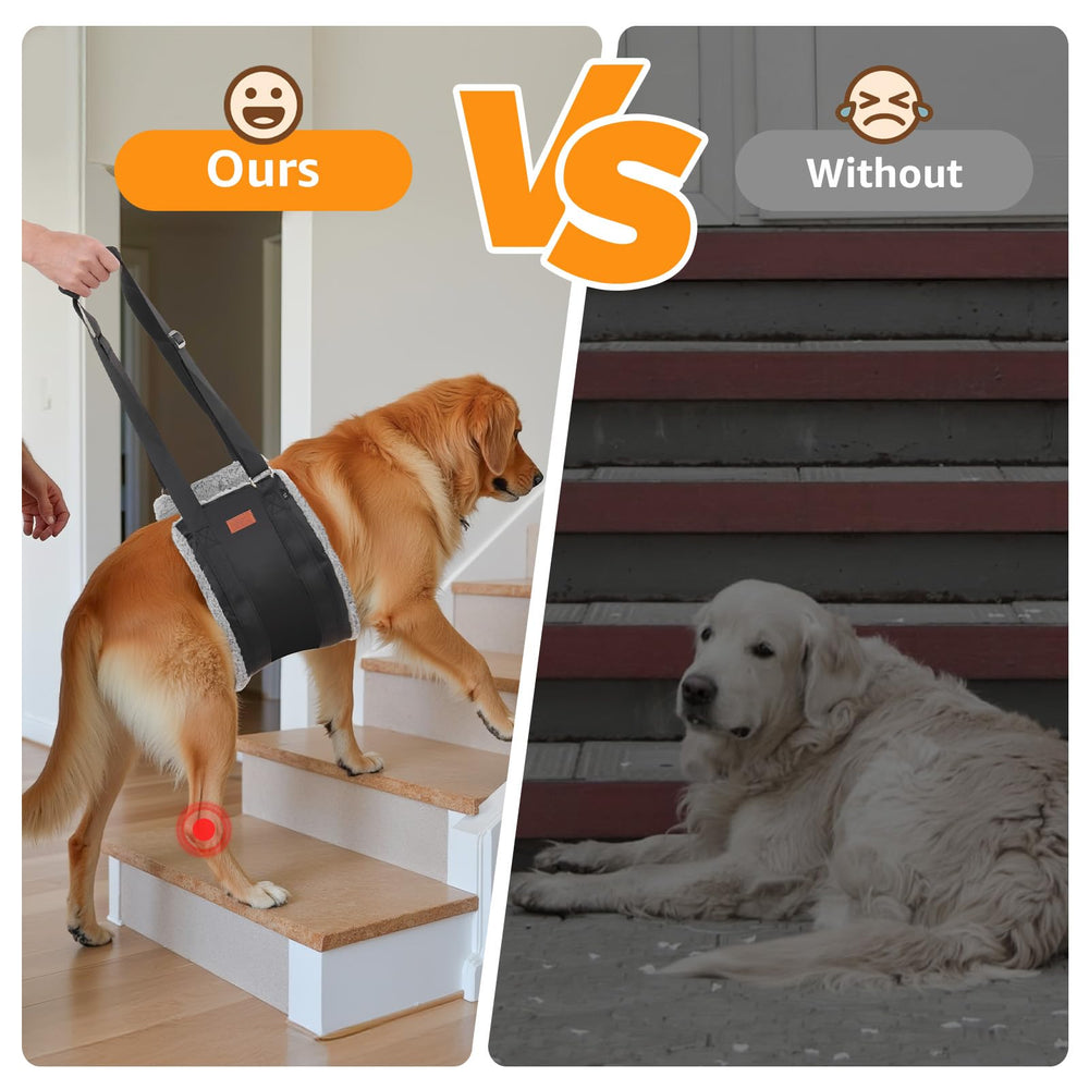 PICK FOR LIFE dog lift harness with padded handles aids gentle lifting