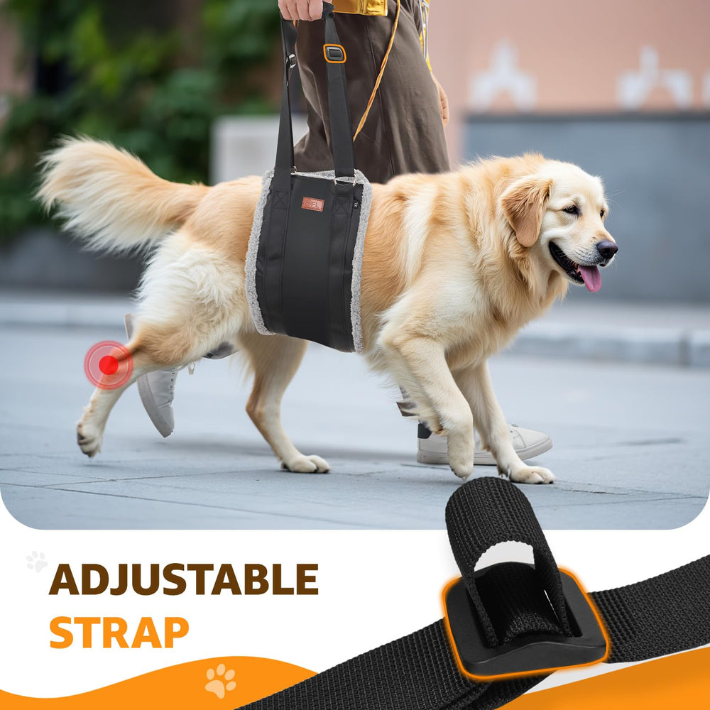 PICK FOR LIFE harness supports stairs without stressing joints